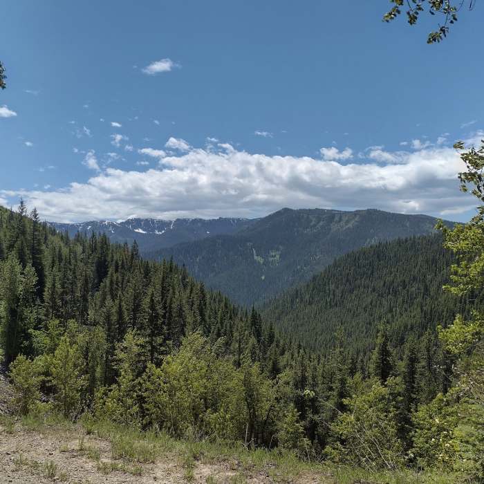 Near Trail of the Hiawatha