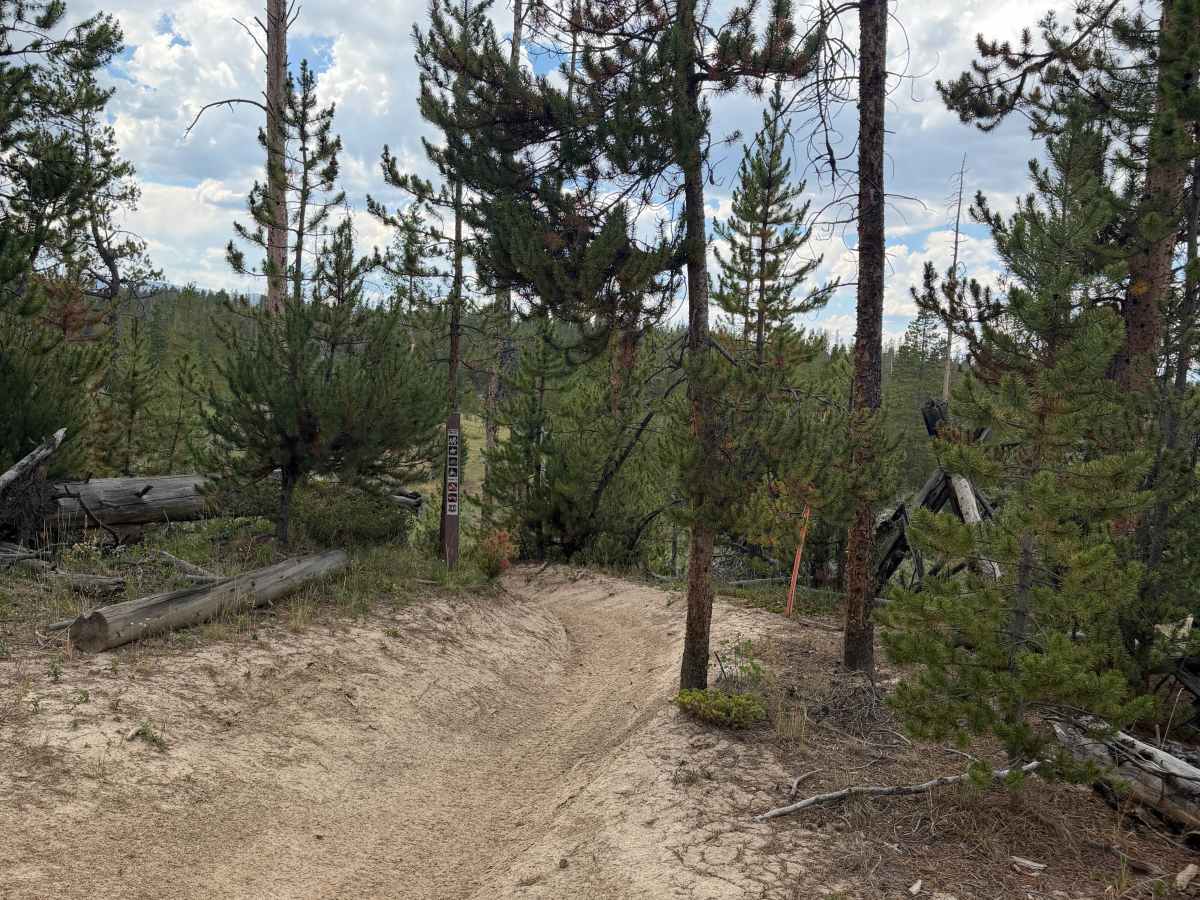 Snyder Creek Loop - FS 1226.1 (Haney Draw Segment) photo 4