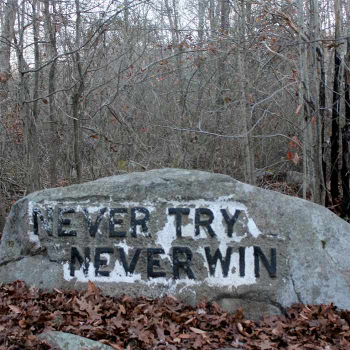 Dogtown Commons Near Dogtown Loop