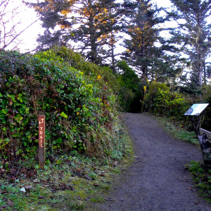 Near Trinidad Head Loop