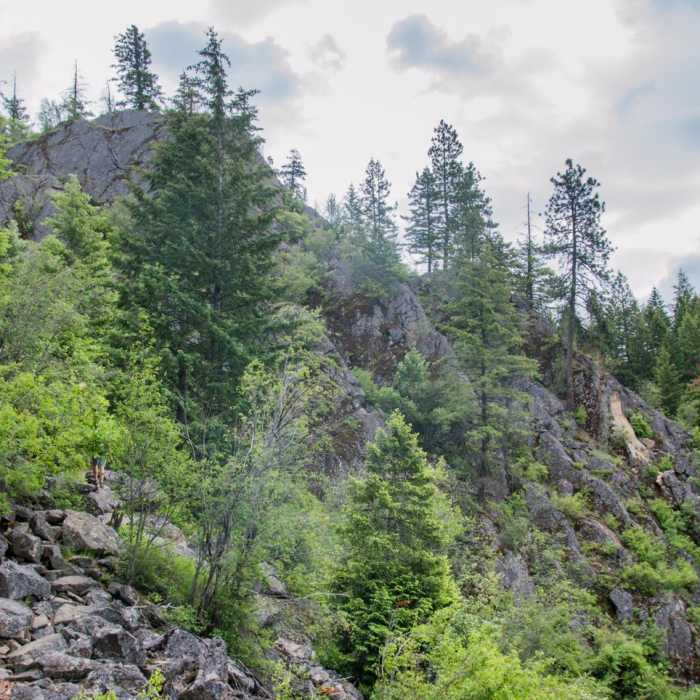 Near Highpoint Trail