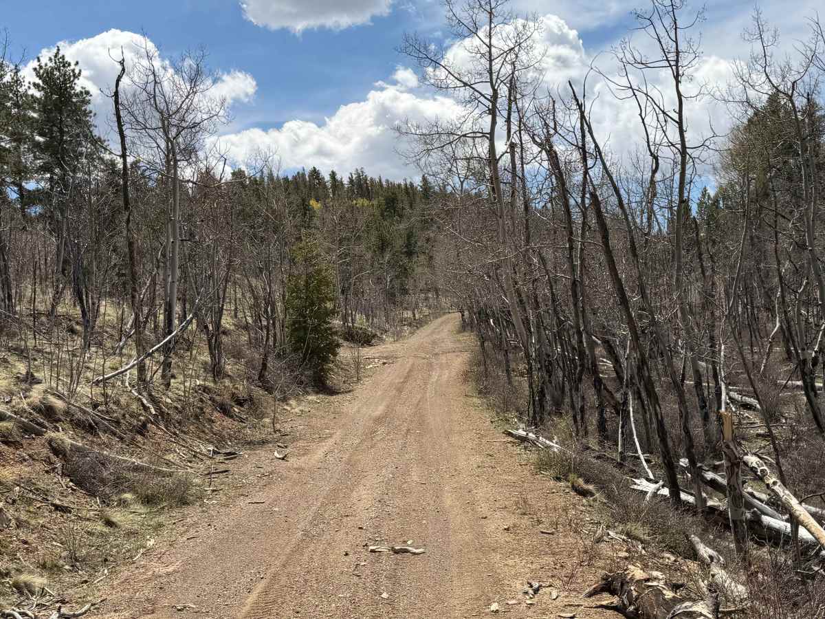 Futurity Gulch Road photo 3