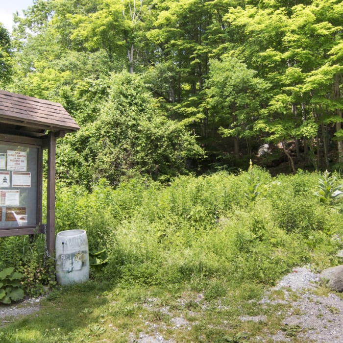 Near Mount Nimham Fire Tower Near Mount Nimham Fire Tower