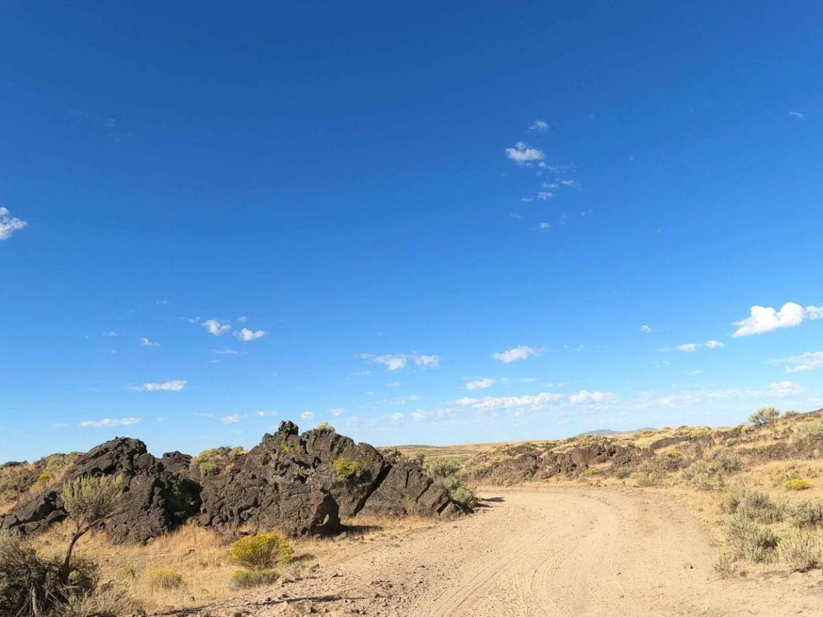 Bogus Bench Trail trail photo