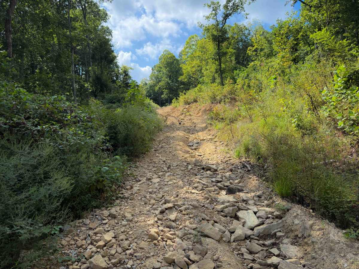 Shack Creek Road   photo 3