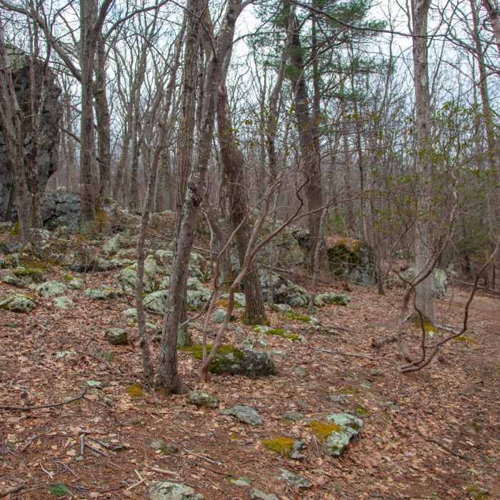 Near Rose River + Dark Hollow Falls via Big Meadows Near Rose River + Dark Hollow Falls via Big Meadows