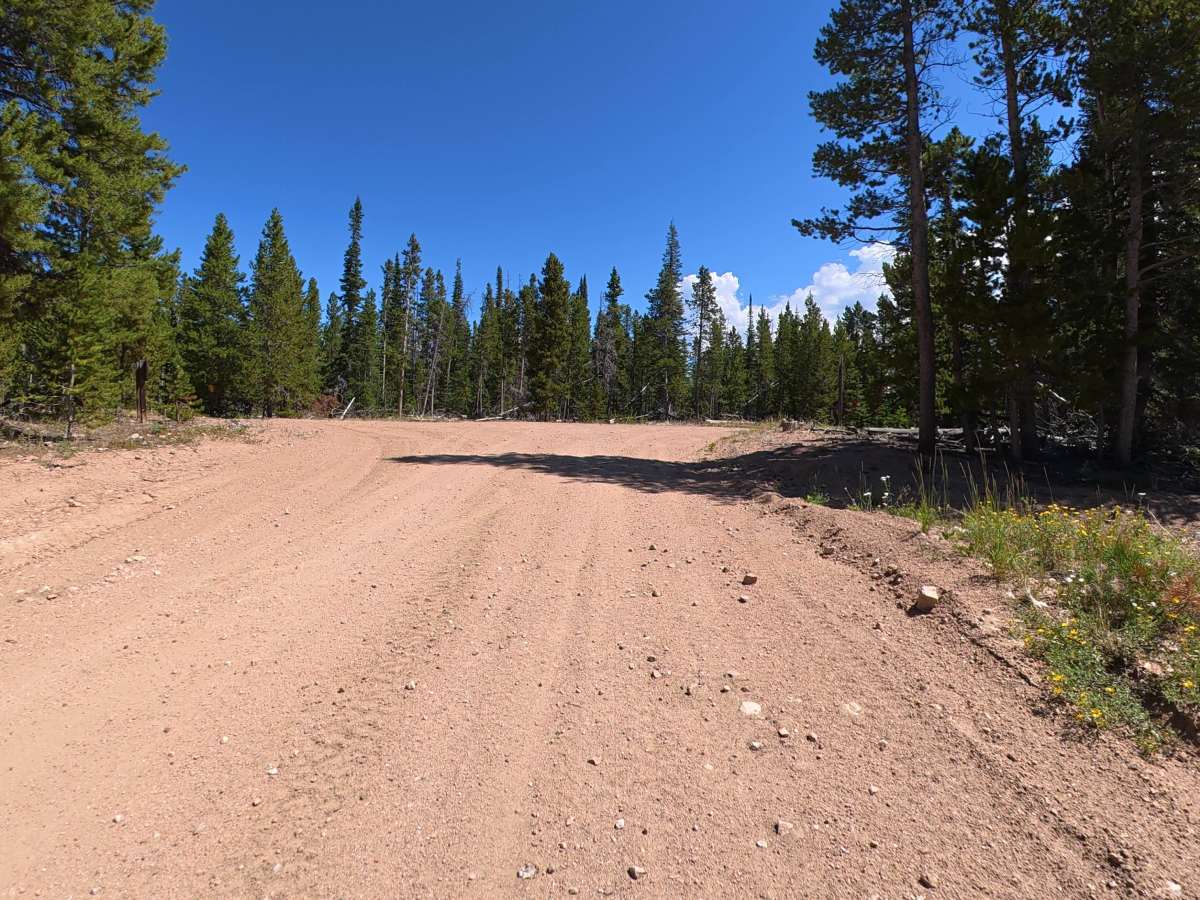 Pinkham Circle Road trail photo