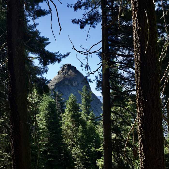 Near Soldiers Trail