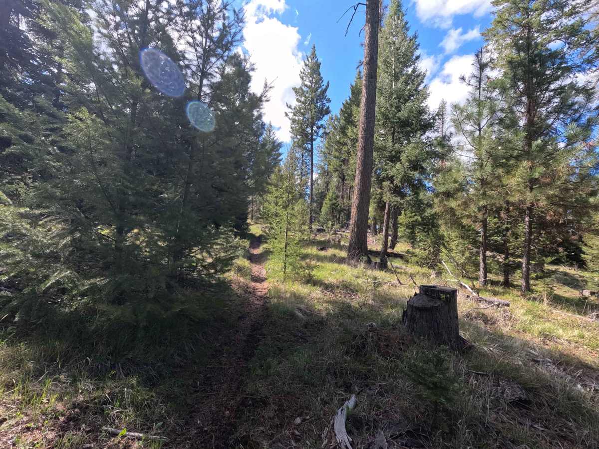 Trail 56 photo 4