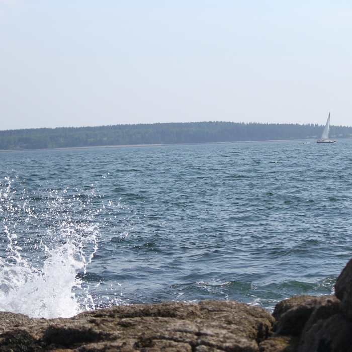 Near Wonderland Trail