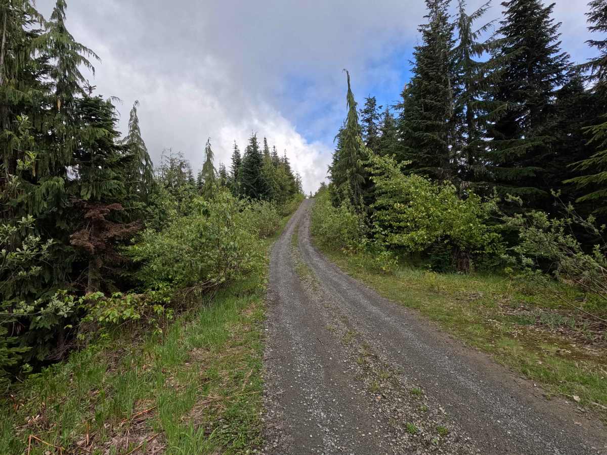 Upper Decline - FS 2435 photo 6