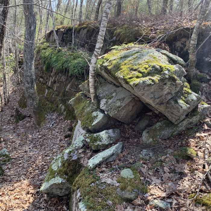 Fauna Near Escoheag Trail Loop