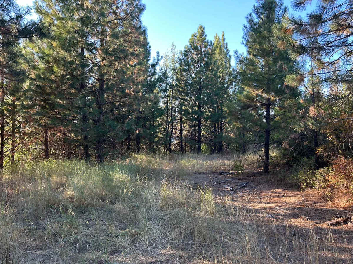 Hoteling Creek C - FS 73680  photo 5