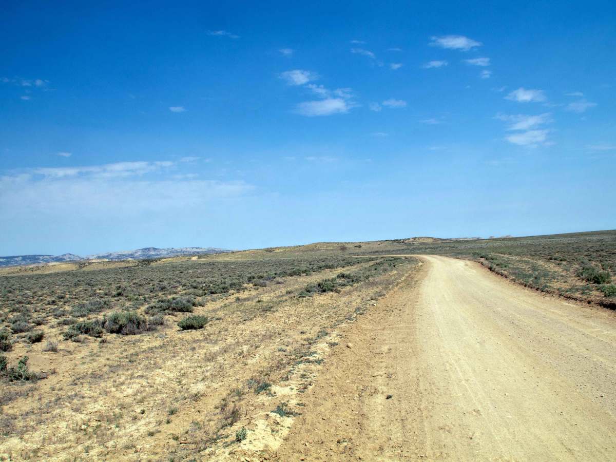 Badger West - FS 60160 photo 3