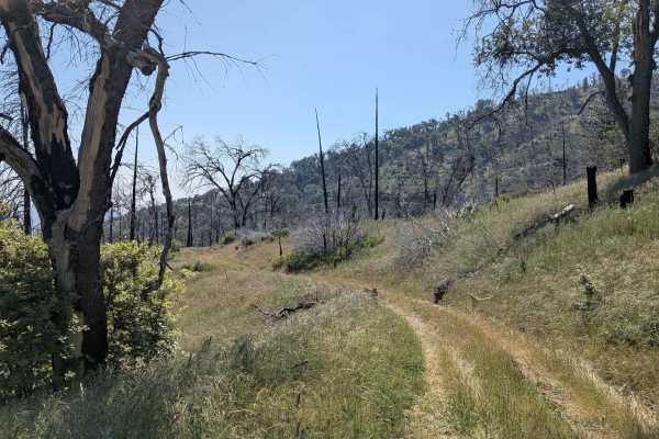 Starvation Creek - FS 23S65