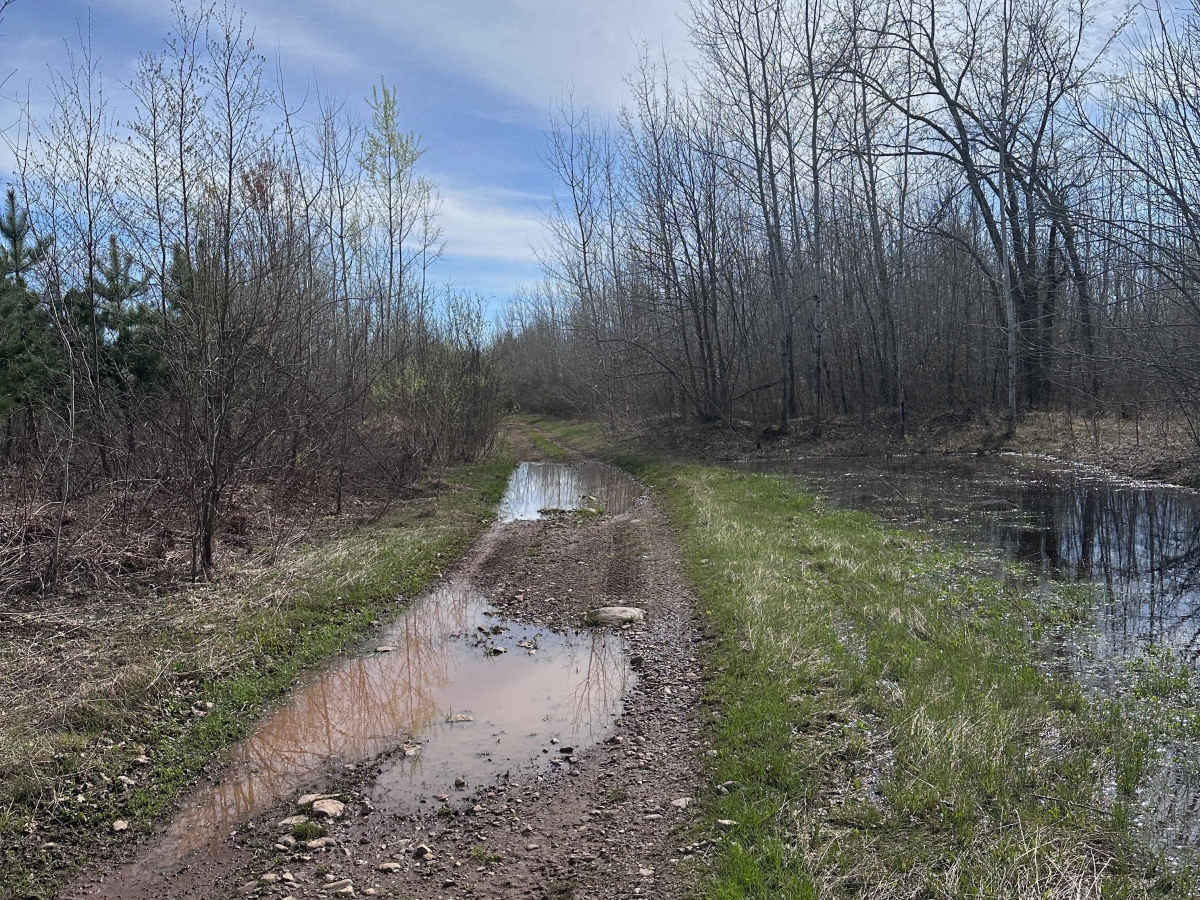 Mallard Lake Spur B photo 5
