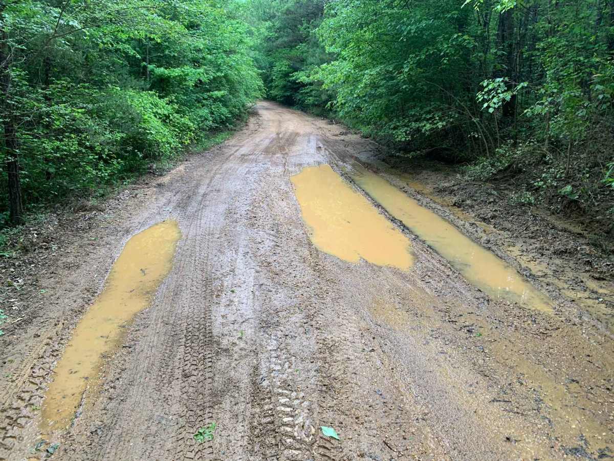 Turkey Creek Road photo 3