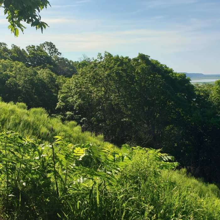 Near Fults Hill Prairie Nature Preserve Trail