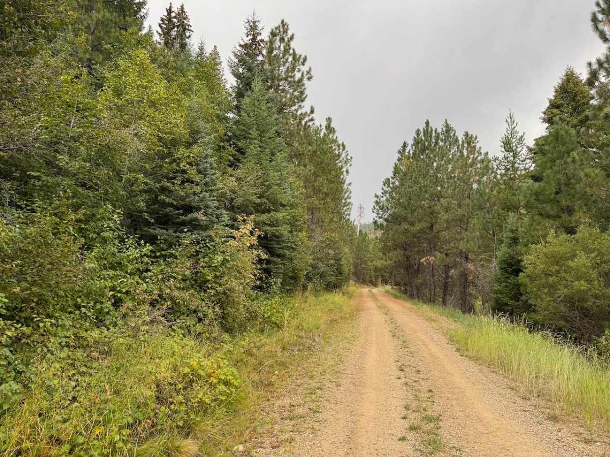 Piquett Creek Part 1 photo 4