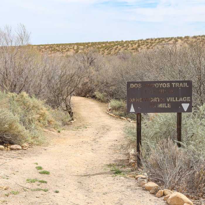 Near Dankworth Village Near Dankworth Village