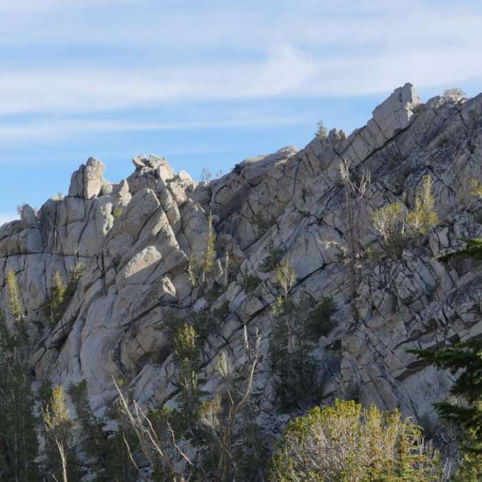 Near Tamarack Peak Loop