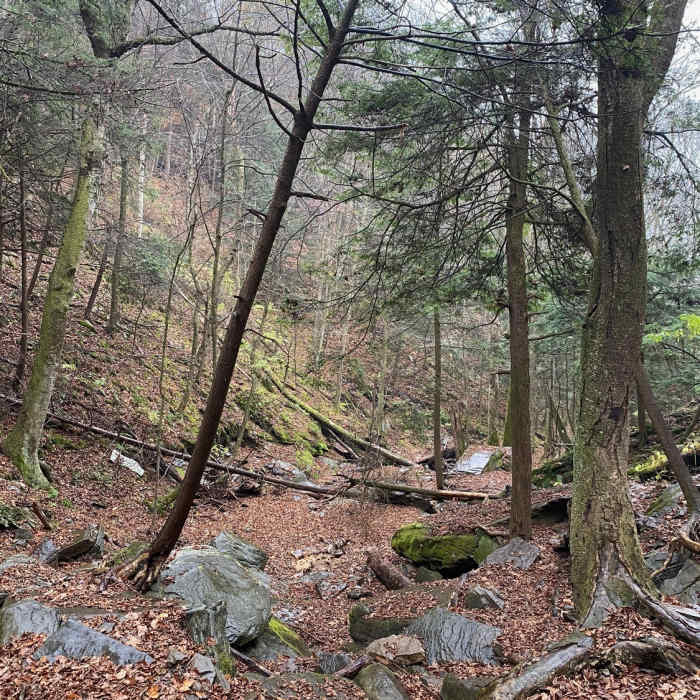 The trail to Jacoby Falls Near Jacoby Falls