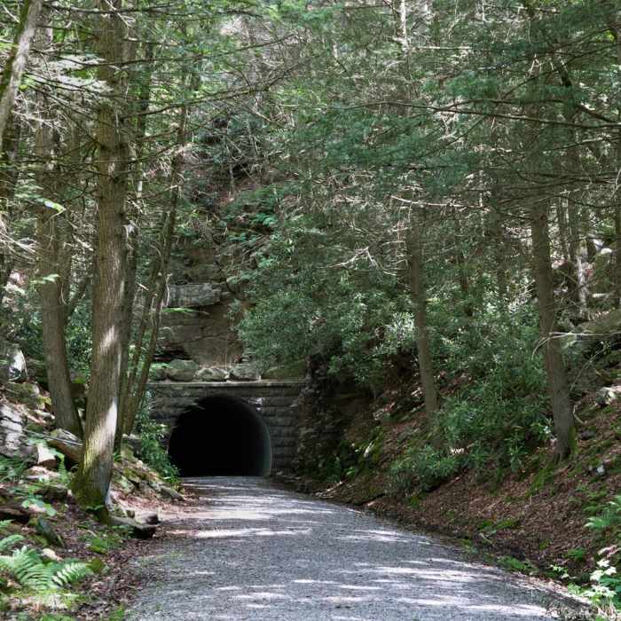 Near Poe Paddy Tunnel Trail