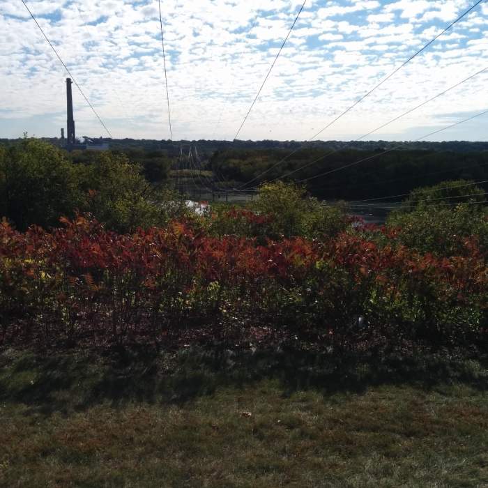 View from on top of the bluff. Near Minnesota River Bottoms - Bluff Trail