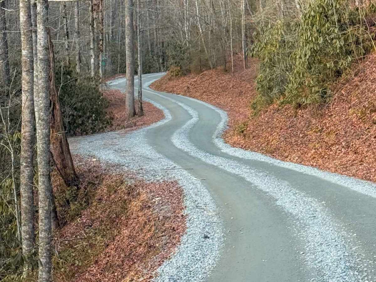 Cathey's Creek Road - FS 471 trail photo
