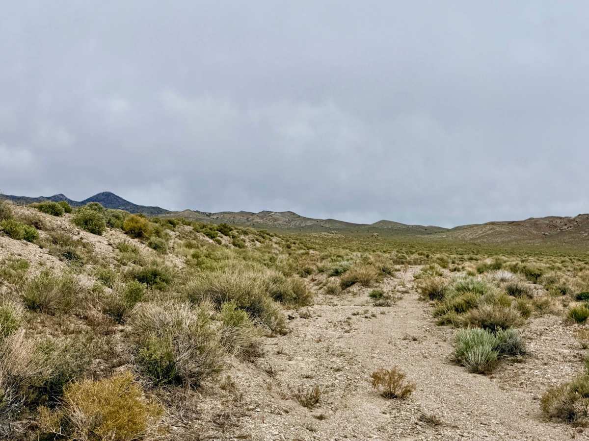 Hannapah Cutoff Road - FS 44505A photo 5