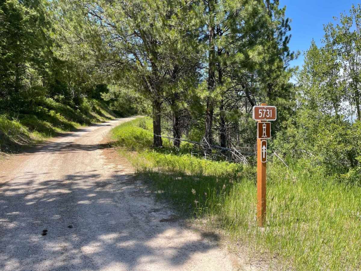 Medicine Point Trailhead photo 5
