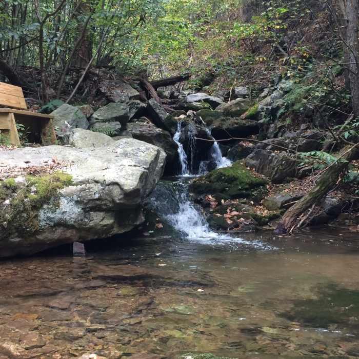 Near Sand Spring Loop