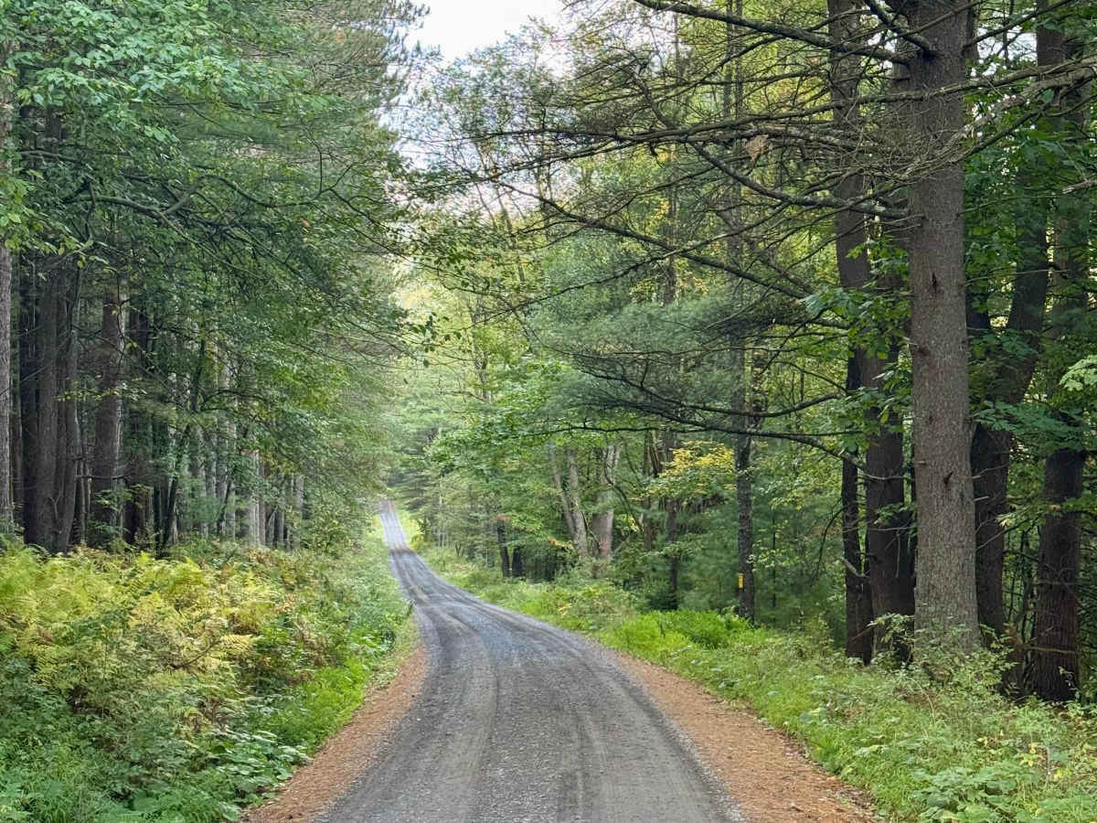 Sandy Run Road photo 2