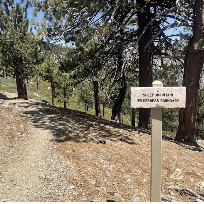 Near Mount Lewis Near Mount Lewis