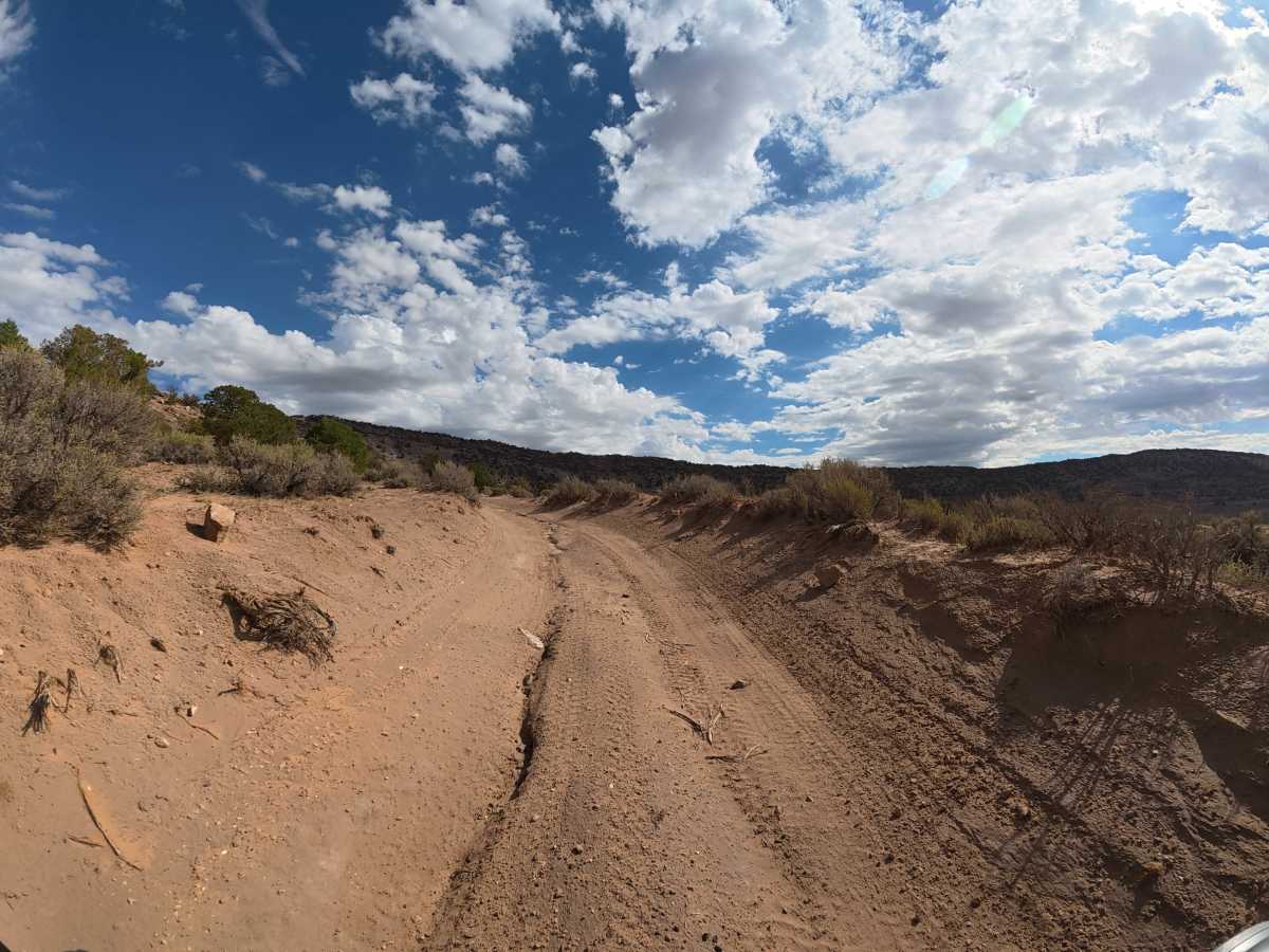 BLM 011 photo 5