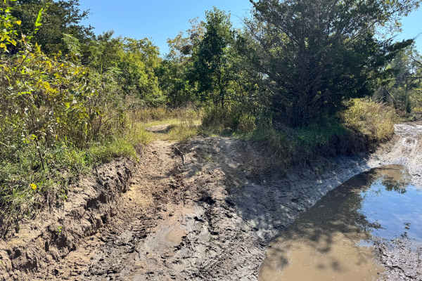 Rattle Trap Run