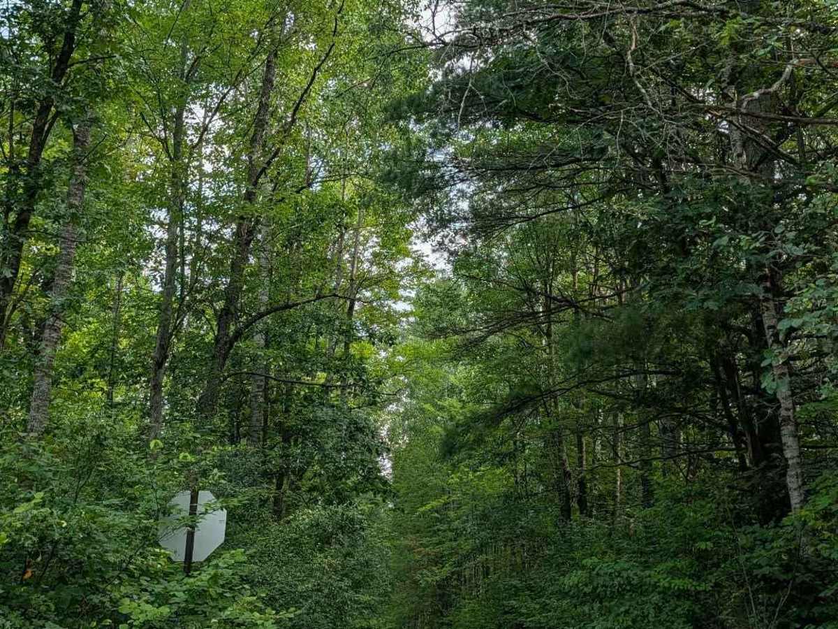 FS 4118 trail photo