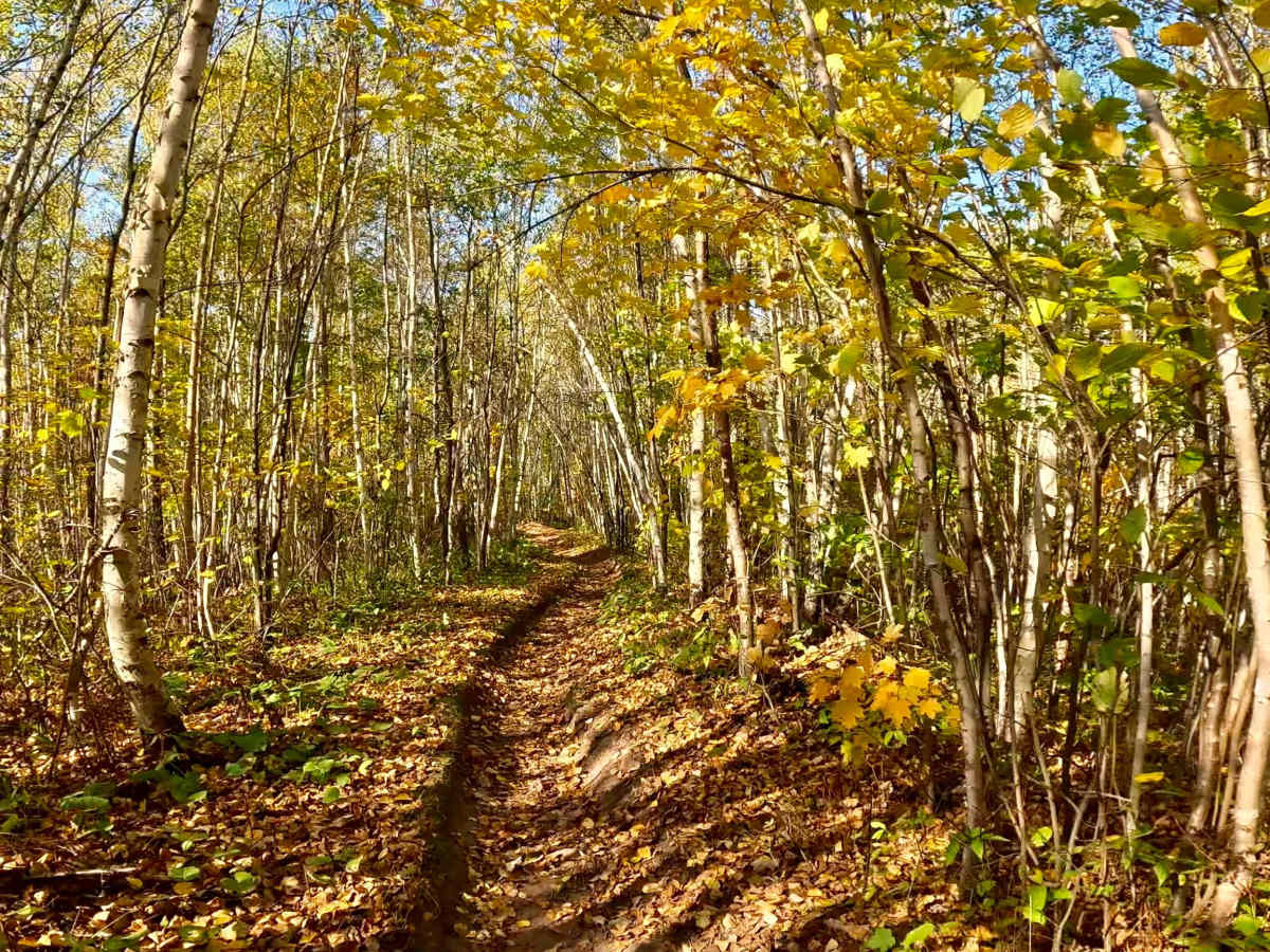 Tamarack Straight Arrow East Trail photo 3