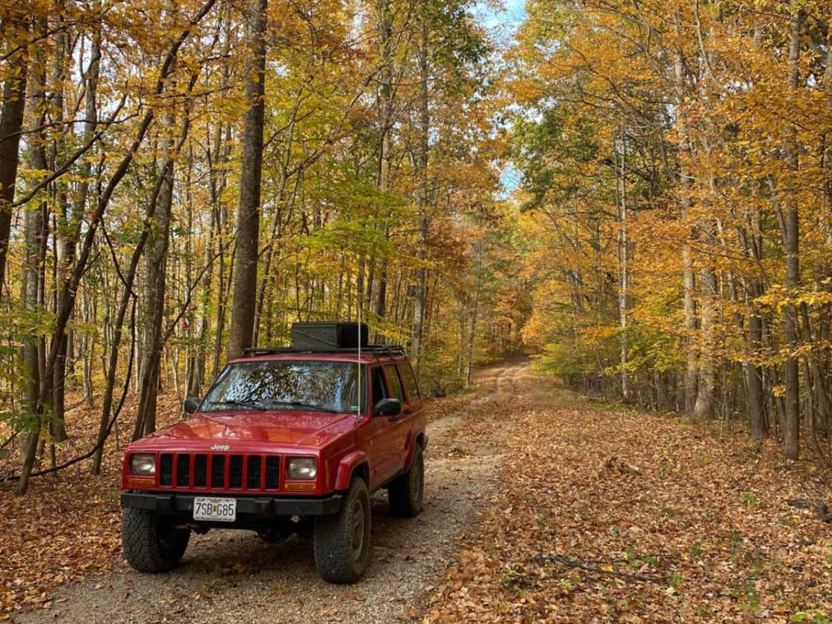 Gale Trail Road FSR 272 photo 3