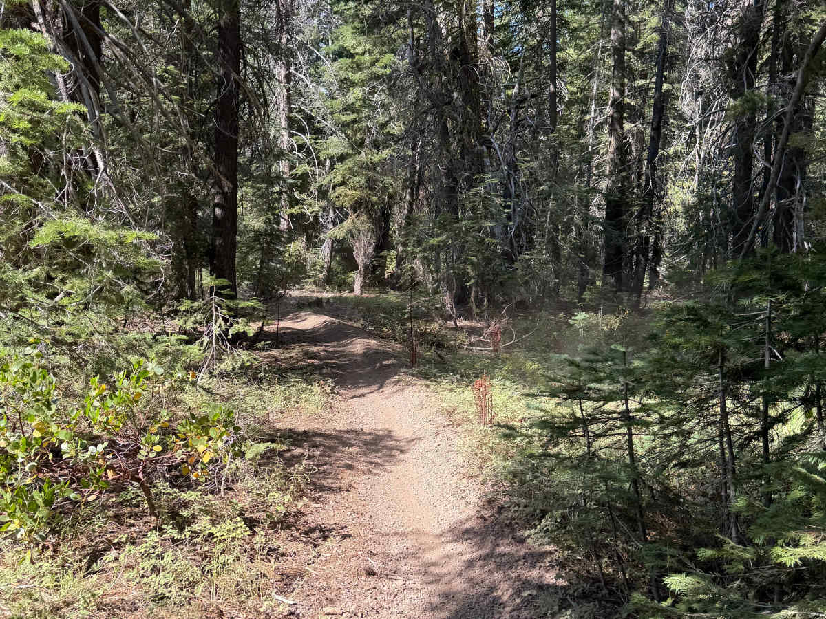 Upper Cena Lar Trail photo 6