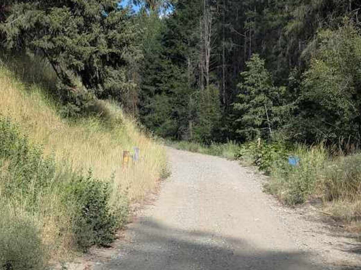 FS 7101 trail photo