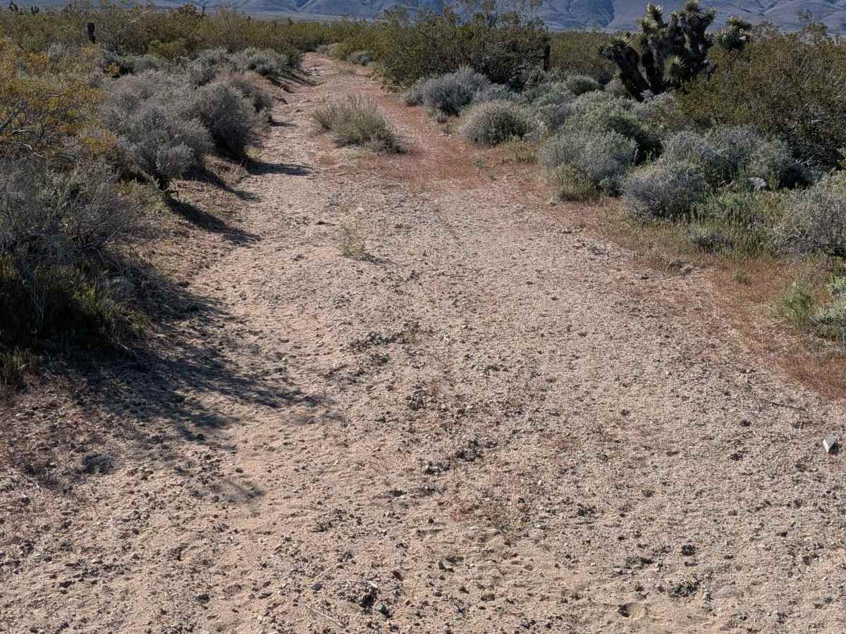 BLM 37E402 photo 6