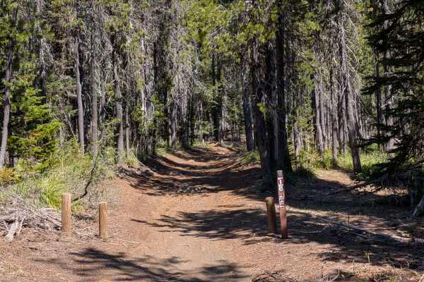 Santiam OHV 18