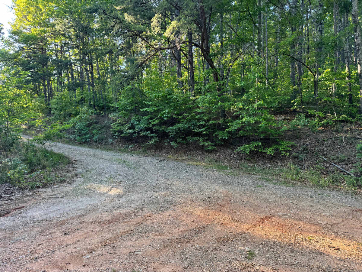 Seabolt Mountain - FS 640A trail photo