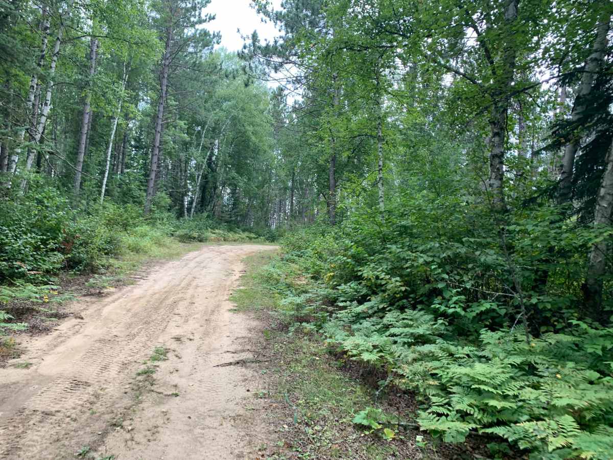 Samuelson Trail photo 6