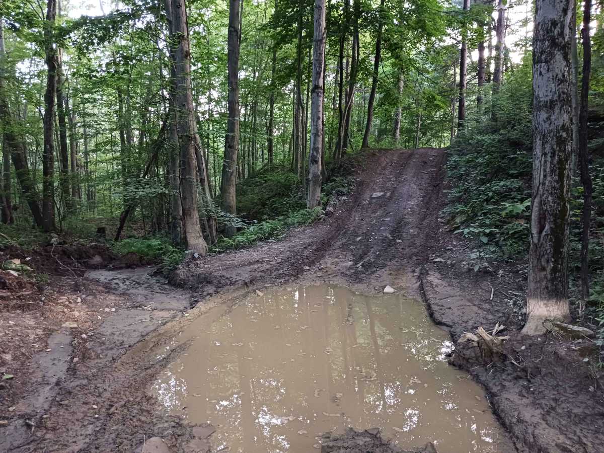 Upper Briar Path - Rock Run Recreation Area photo 6