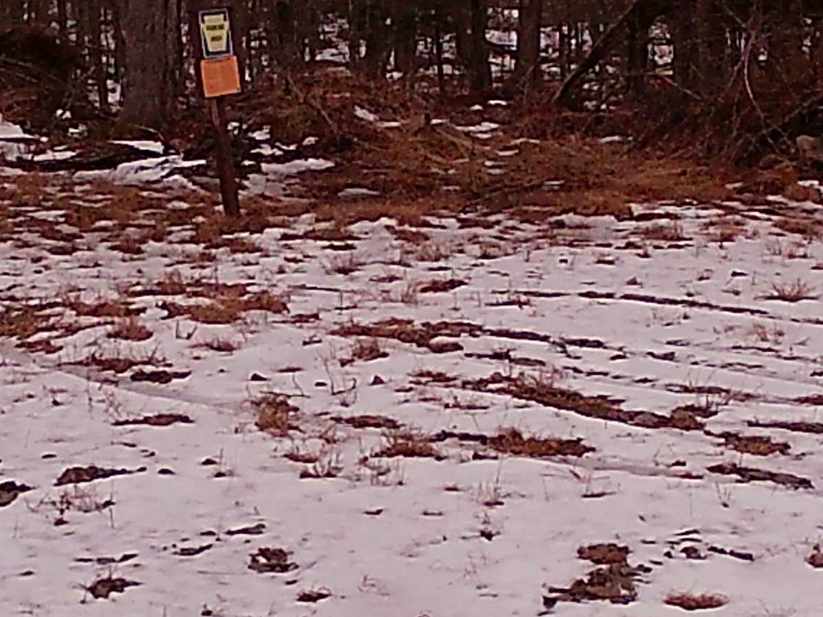 Masonite Road photo 3