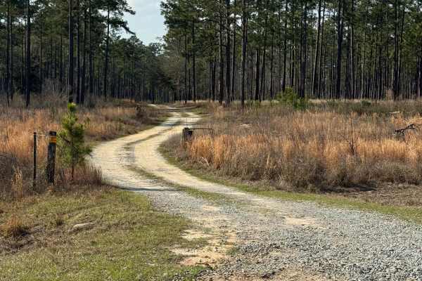 Frog Pond Road