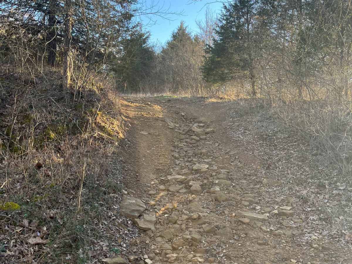 Overlook Trail photo 6