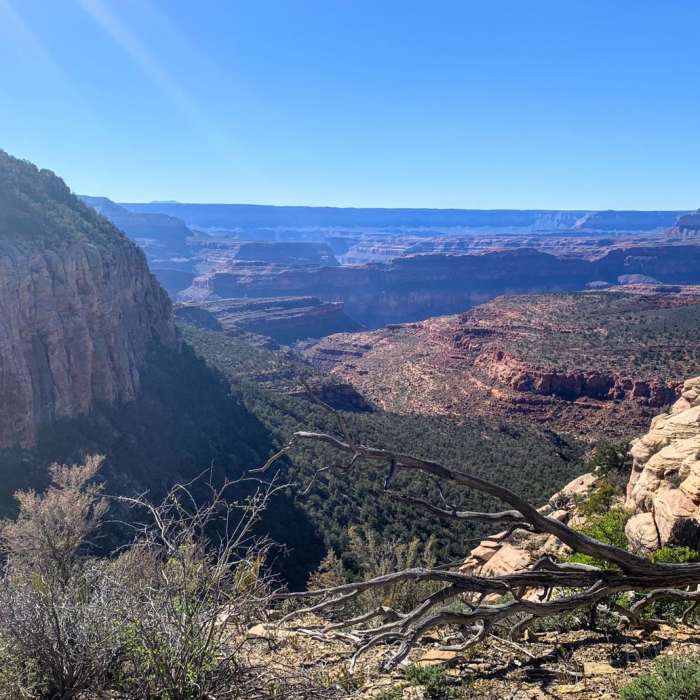 Near South Bass Trail